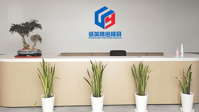 Shanghai Chengying Precision Mould Co., Ltd.